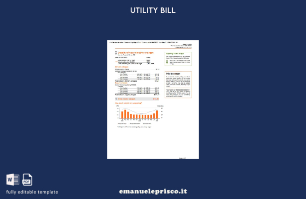 stile verificato Bolletta PSEG USA New York, modello Word e PDF, modello di pa 1